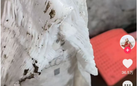 2年前防洪尿不湿火到2026！吸水力惊现“抗洪名场面”